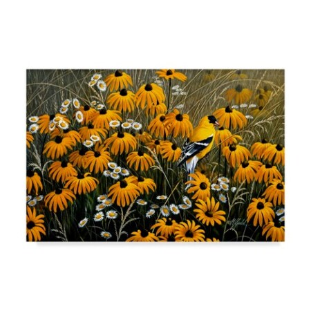 Trademark Fine Art Wilhelm Goebel 'Summer Gold' Canvas Art, 22x32 ALI33760-C2232GG